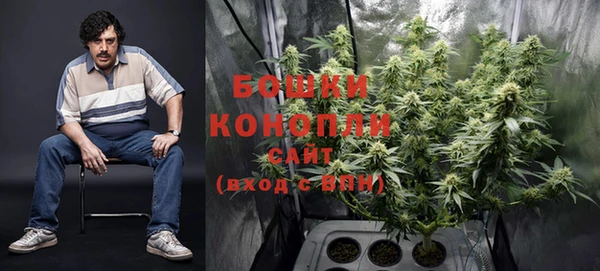mdma Заводоуковск